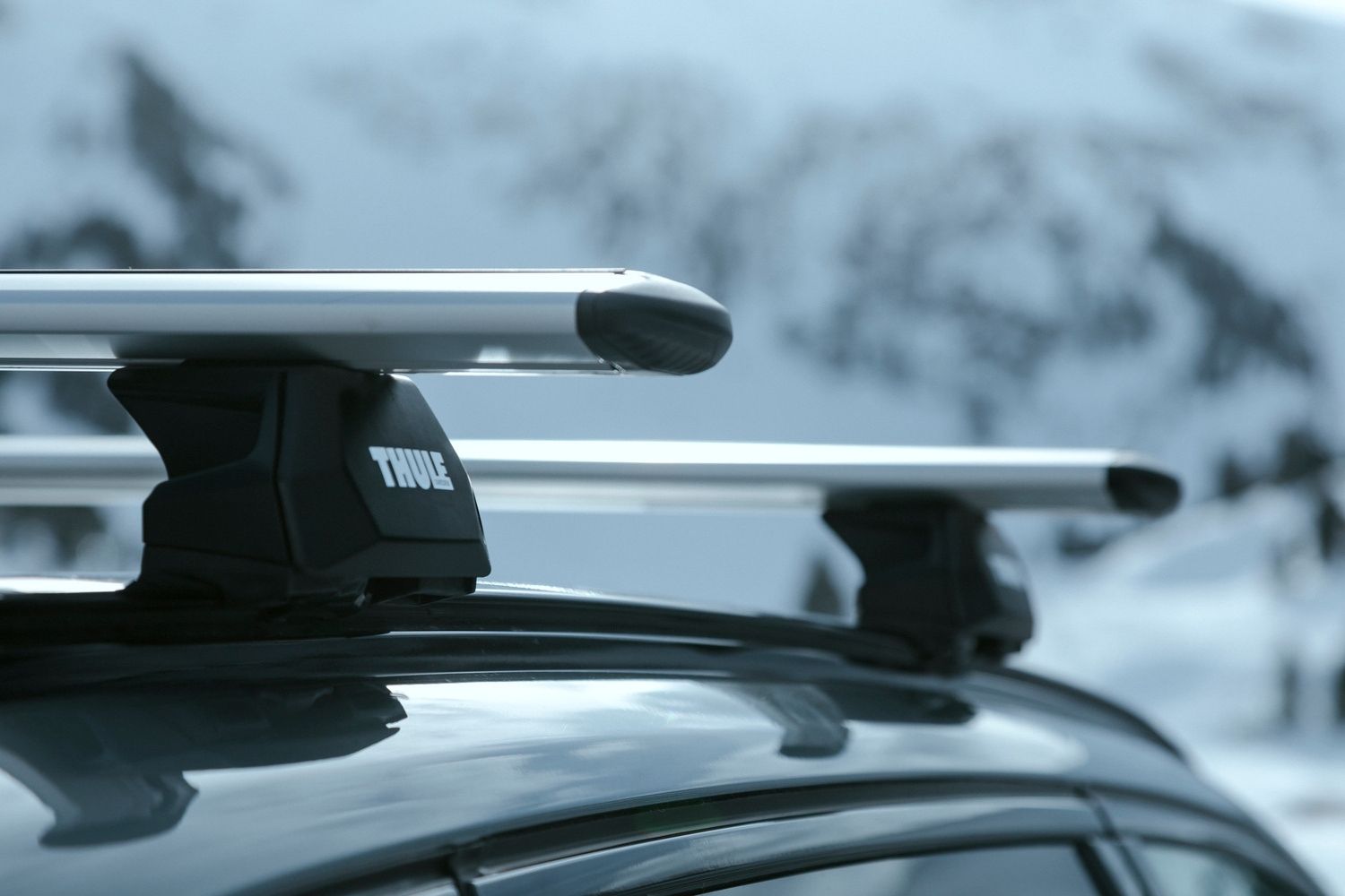 Thule Dachträger Evo Flush, Integrierte Reling