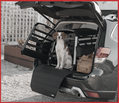 Hundeboxen